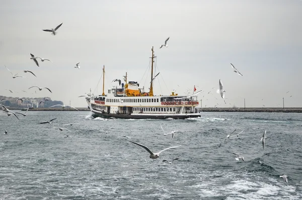 Istanbul Strait, ferry and seagulls. Gulls to feed the passion o