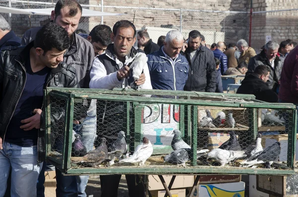 Outdoor Bird Market in Istanbul