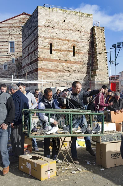 Outdoor Bird Market in Istanbul