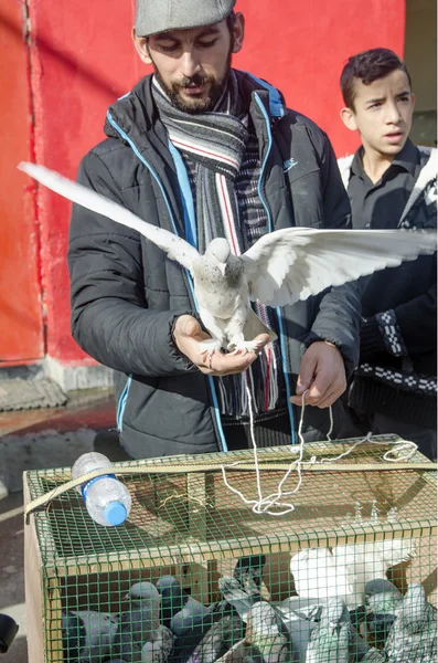 Outdoor Bird Market in Istanbul