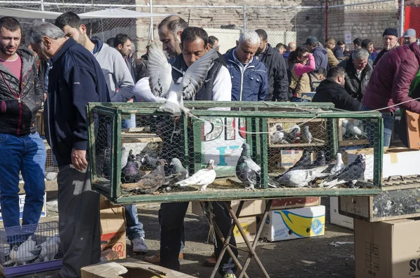 Outdoor Bird Market in Istanbul