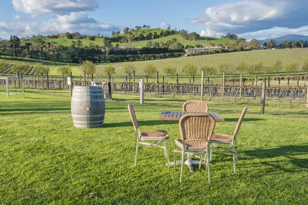 Outdoor chairs and table in a vineyard