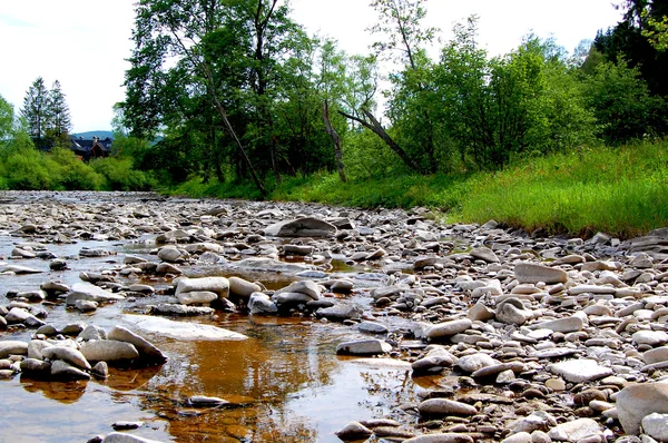 The edge of a mountain river with rocky beach