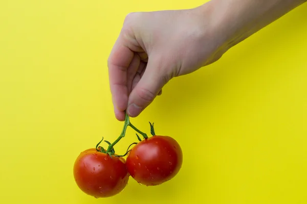 Man\'s hand hold two tomatoes