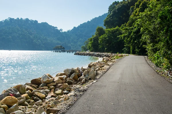 Sunny coastline road, horizontal