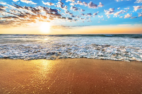 Colorful ocean beach sunrise with deep blue sky and sun rays.