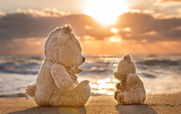 Teddy bears sitting on the beautiful beach with love. Concept ab