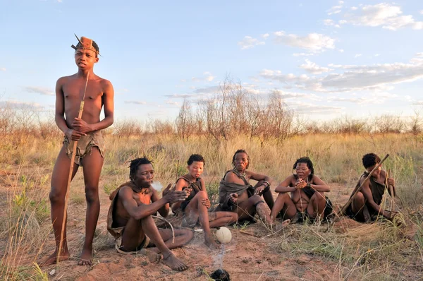 Bushmen in the kalahari desert