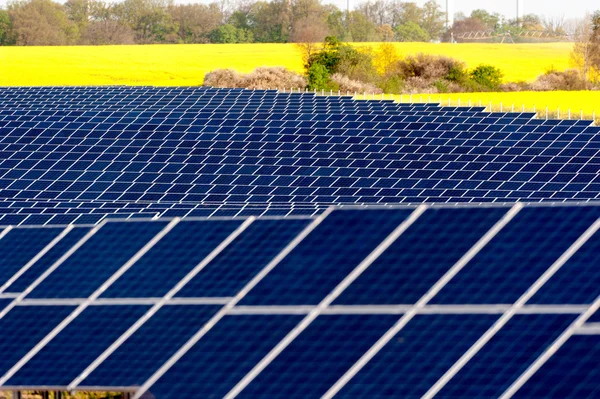 Solar panels in a rapeseed field