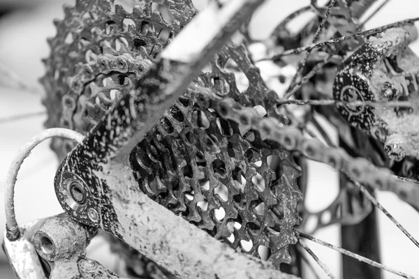 Bike gears with chain (selective focus). Black and white close u