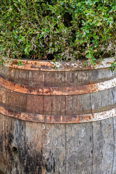 Illustration of wooden barrel. Old wooden barrel with rusted lag