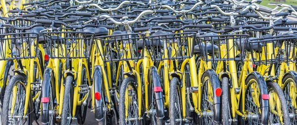 Plenty of yellow bikes parked near a bicycle rental station in a park in Bucharest