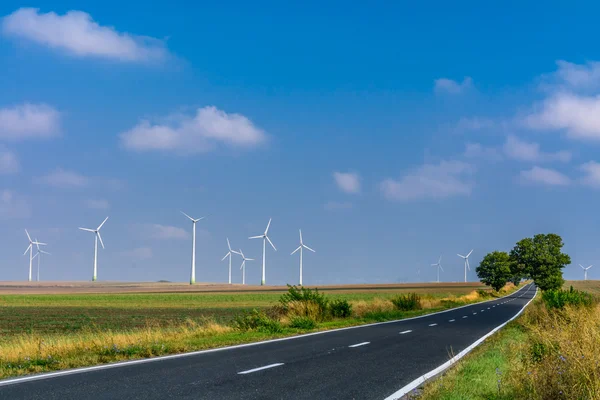 Landscape of wind turbines and an asphalt road stretching into the horizon
