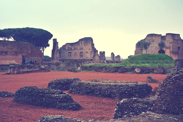 Vintage italy background. Rome vintage landscape with trees. Ancient rome buildings and constructions. Ancient ruins. Beautiful view with trees and ruins. Parks and recreation.