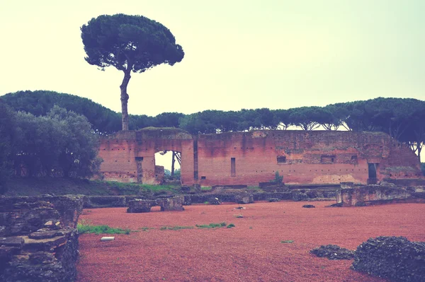 Vintage italy background. Rome vintage landscape with trees. Ancient rome buildings and constructions. Ancient ruins. Beautiful view with trees and ruins. Parks and recreation.