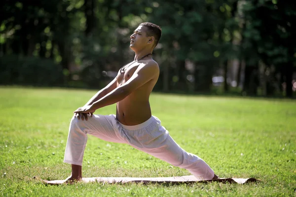 High lunge pose in park