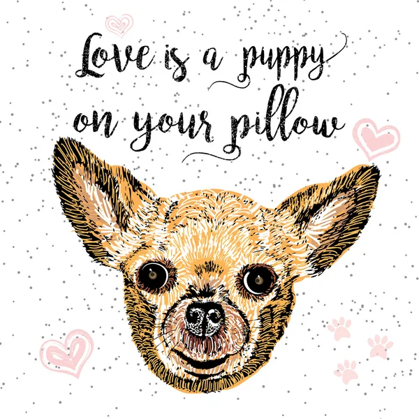 Love is a puppy on your pillow