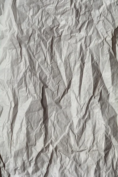 White and gray paper sheet