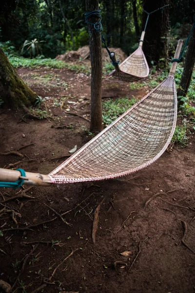 Natural weave hammock in forest