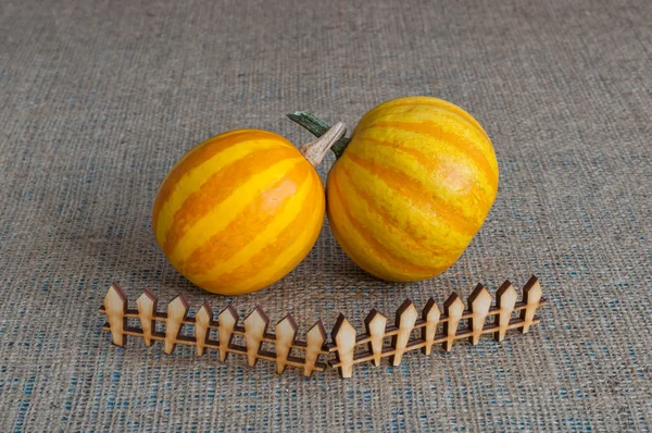 Striped pumpkin behind toy wooden fence. The concept of farm and household. space for a text in rustic vintage style. Agriculture Concept background. For poster, menu recipe.