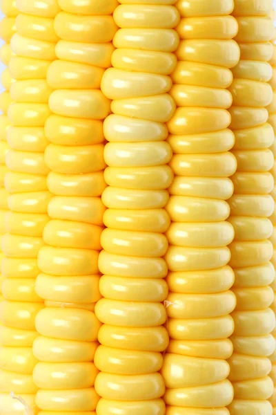 Closeup of fresh raw corn cob isolated on white