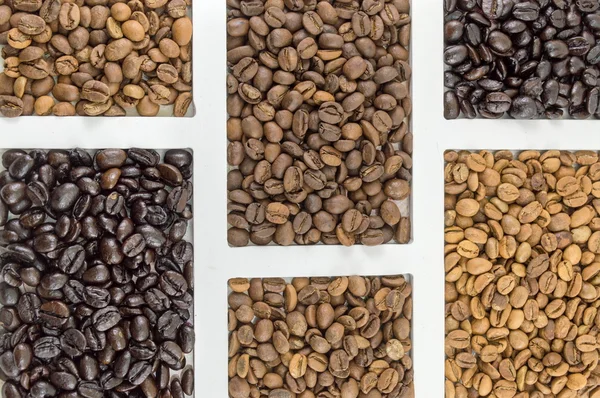 Different types of coffee grains