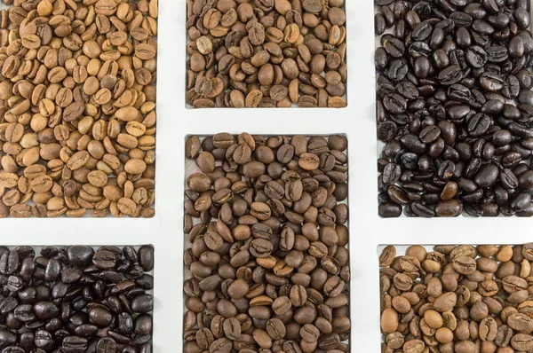 Different types of coffee grains