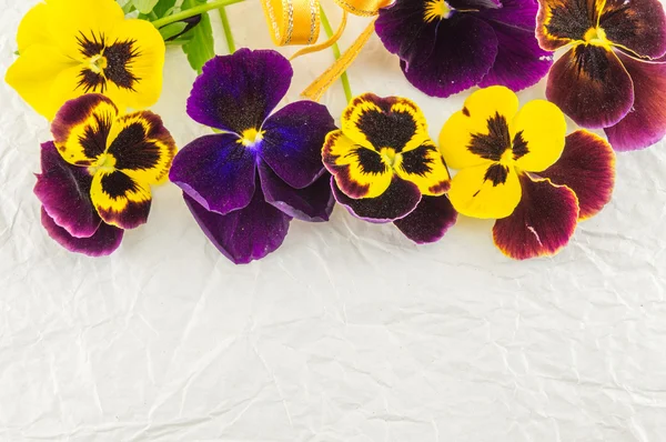 Yellow and violet flowers