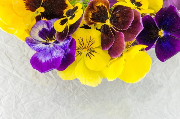 Yellow and violet flowers