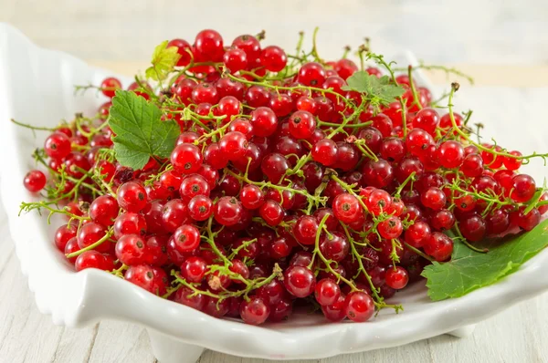 Fresh currant red fruit on a plate