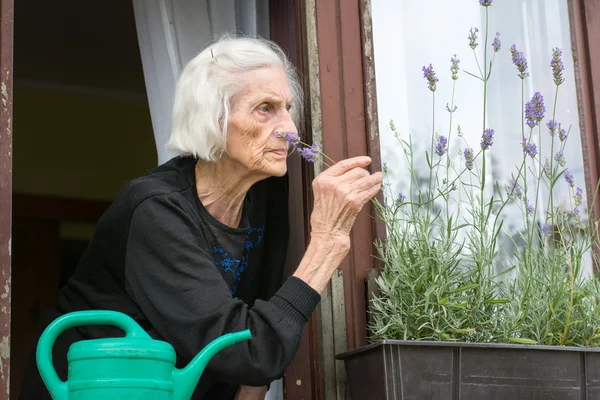 Senior woman alone on house window