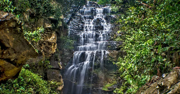 Rainforests waterfalls