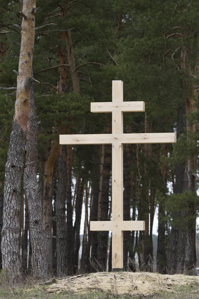 Wooden cross on the edge of the forest.