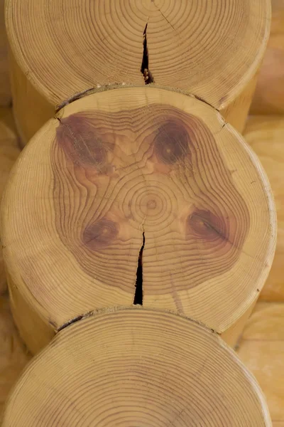 Texture cut pine logs in a log house.