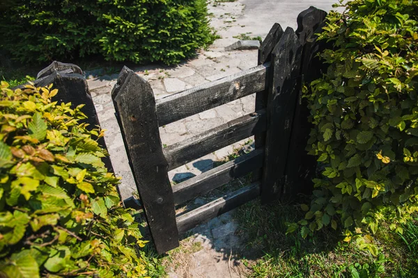 Wooden fence. Wooden fence overgrown with greenery.