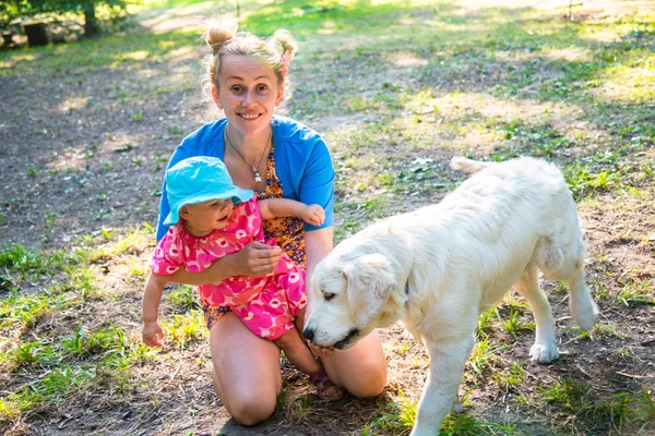 My mother with a small child playing with a dog breed Labrador