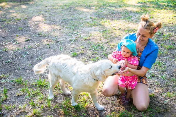 My mother with a small child playing with a dog breed Labrador