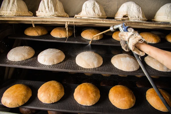 Bakery. Semi-automatic technology. Black bread