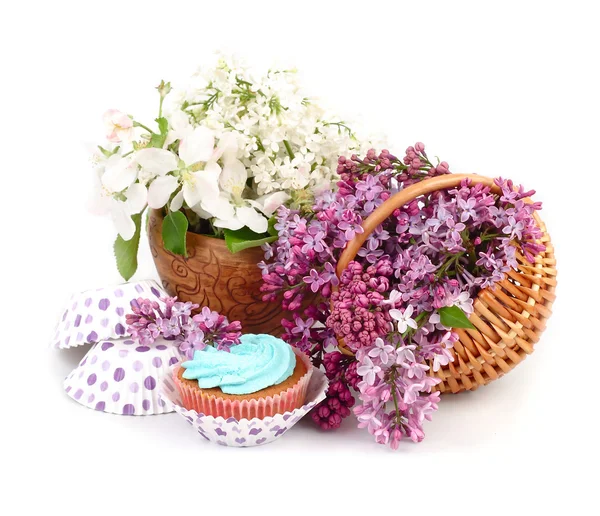 Lilac in a basket and cake on a white background.