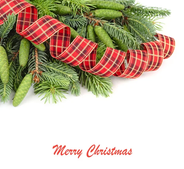 Branches of a Christmas tree with cones and a spiral checkered tape on a white background. A Christmas background with a place for the text.