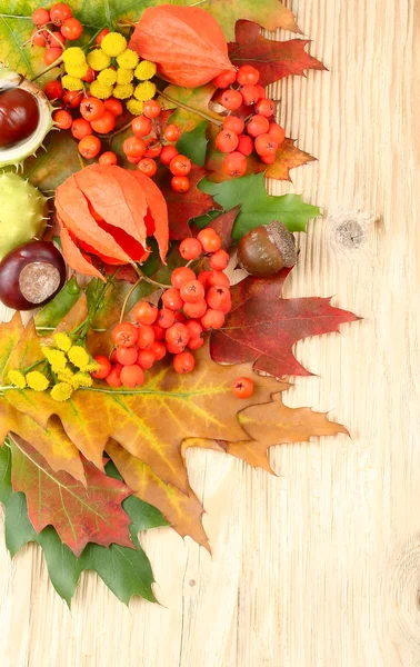Autumn background with leaves, chestnuts and a mountain ash with a place for the text. Autumn composition on a wooden background.