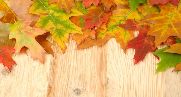 Bright autumn leaves on a wooden background with a place for the text. An autumn background with leaves.