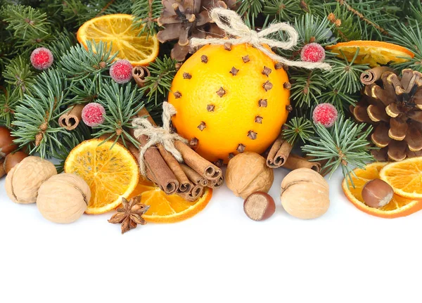 Christmas composition with dried oranges, cinnamon and nuts on branches of a Christmas tree on a white background. A Christmas background with a place for the text.