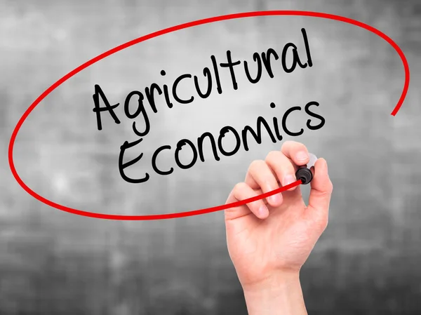 Man Hand writing Agricultural Economics with black marker on vis