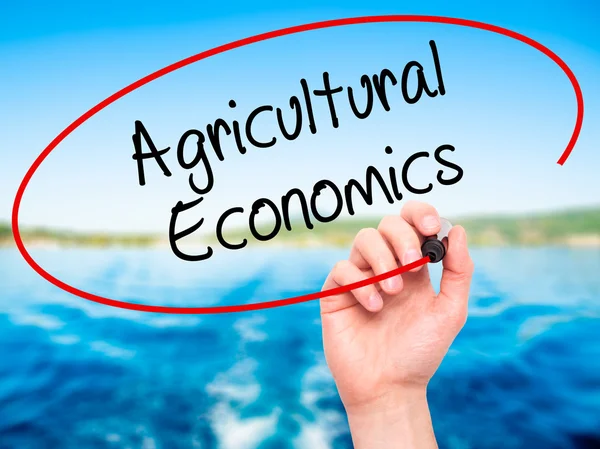 Man Hand writing Agricultural Economics with black marker on vis