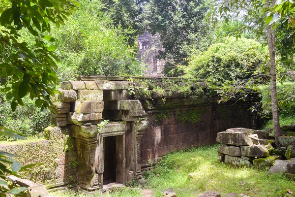 Old stone city wall in the forest