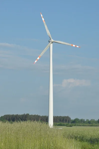 Windmill, production of green energy. Masts with blades