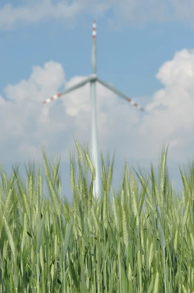 Windmill, production of green energy. Masts with blades