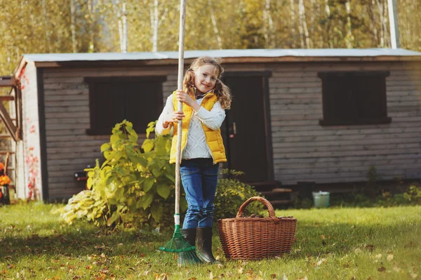 Happy child girl playing little gardener in autumn and picking leaves into basket. Seasonal garden work. Backyard cleaning.