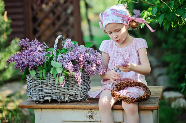 Adorable child girl in pink plaid dress making lilac wreath in spring blooming garden